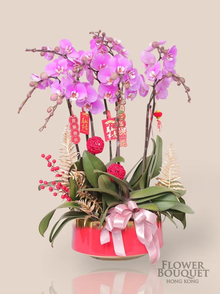 (現貨特價) 新年蘭花盤栽 6/8/10/12枝 (台灣淺粉) (一天前預訂) - 點擊查看商品詳情 (現貨特價) 新年蘭花盤栽 6/8/10/12枝 (台灣淺粉) (一天前預訂) | 御花店