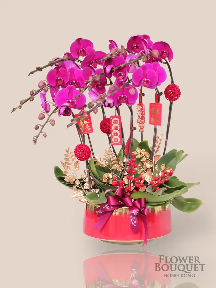新年蘭花 2027